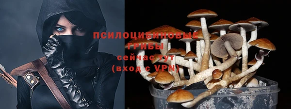 PSILOCYBIN Усолье-Сибирское