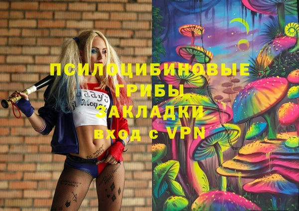 ГАЛЛЮЦИНОГЕННЫЕ ГРИБЫ Усинск
