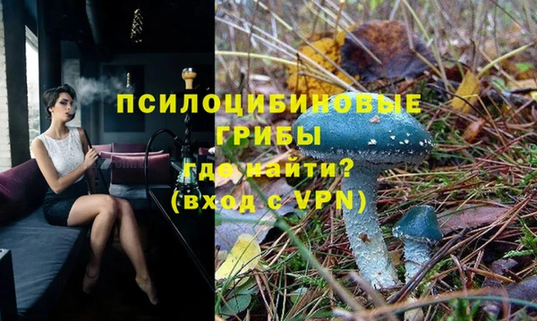 ALPHA PVP Усмань