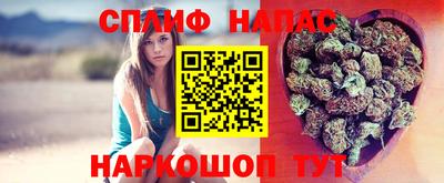 стаф Гагарин