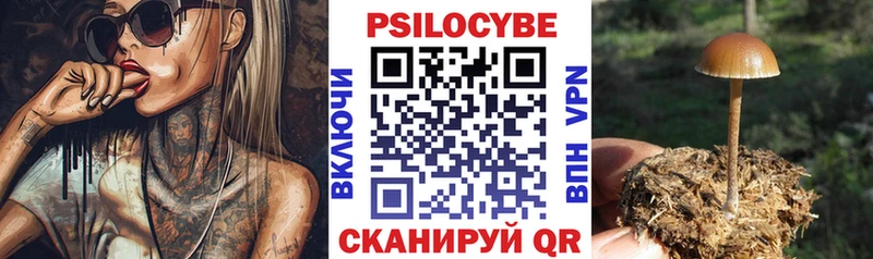 Галлюциногенные грибы мухоморы  Геленджик 
