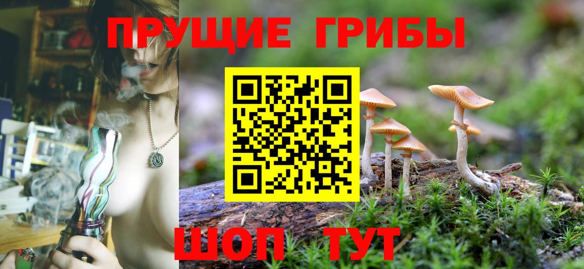 Галлюциногенные грибы Cubensis  Вход с VPN  Псилоцибиновые грибы MAGIC MUSHROOMS  Геленджик 